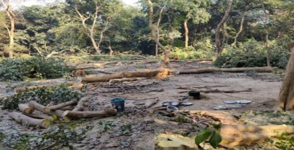 विकास की चमक और पर्यावरण का संकट: क्या अपनी पहचान खो रहा है मरुधरा का आँचल?