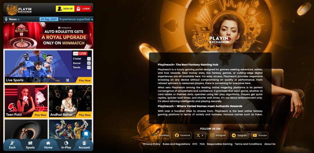 Playinexchange: Why User Experience is the Key to Success in Modern Gaming