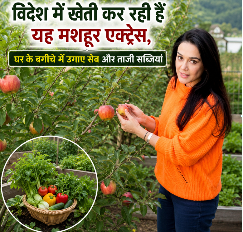 Preity zinta farming